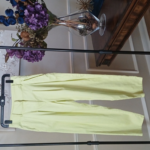 Lime High Waisted Cotton Pleated Pants By Forever 21. Size S - Picture 5 of 17